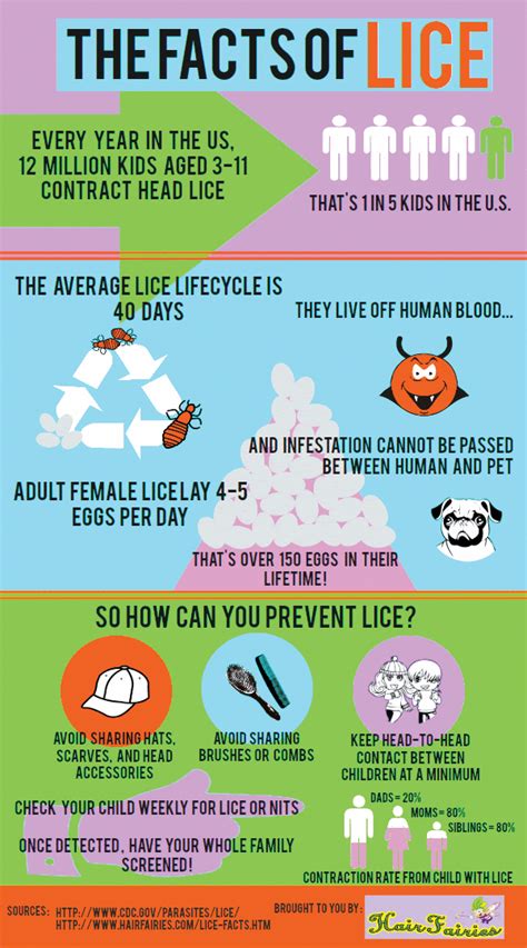 lice infographics - The Facts of Lice #homeschoolinginfographic ...