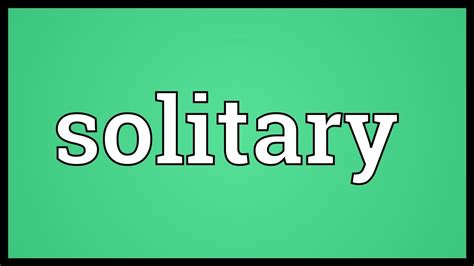 Solitary Meaning - YouTube