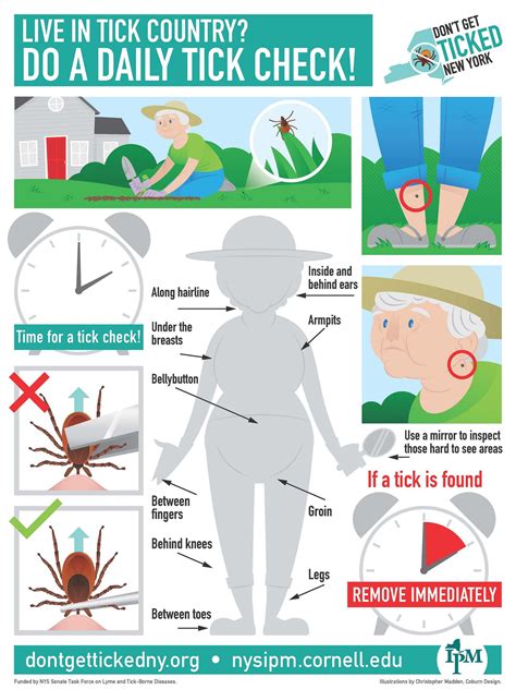 Do a Daily Tick Check | Ticks, Infographic poster, Infograpic