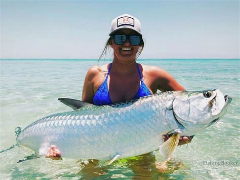 Best Times to Catch Tarpon in Florida (Complete Guide) - Freshwater ...