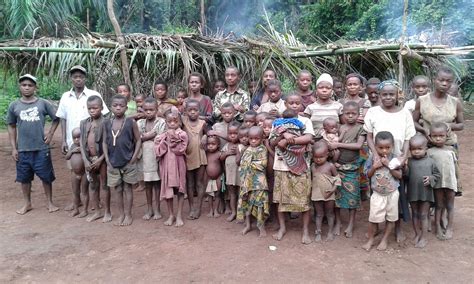 A group of Pygmies in the Democratic Republic of Congo who were ...