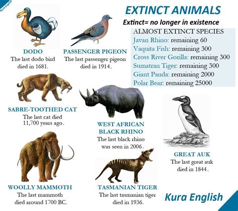 Extinct Animals | Animais