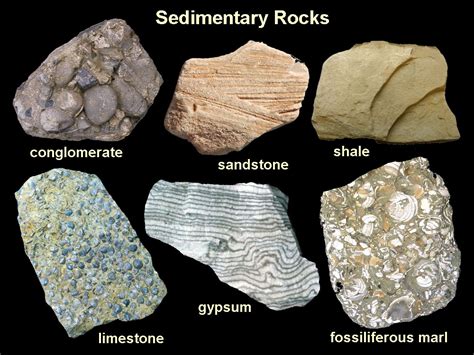 1.35: Sediments and Sedimentary Rocks - Geosciences LibreTexts