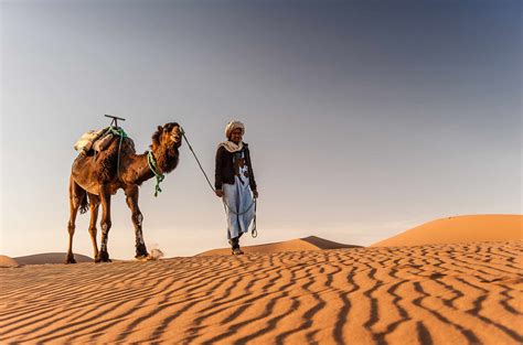 Sahara Desert Camel Trekking Tours: An Unforgettable Adventure In The ...