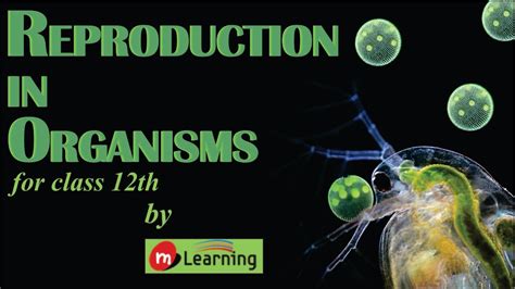 REPRODUCTION IN ORGANISMS -01 For Class 12th and AIPMT - YouTube