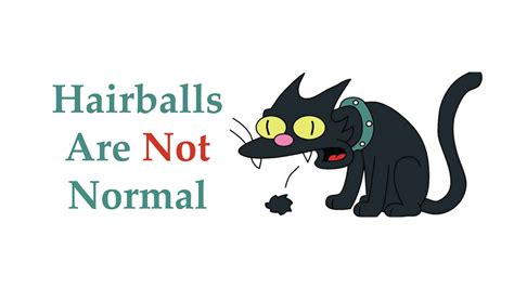 Hairballs - CatPedia