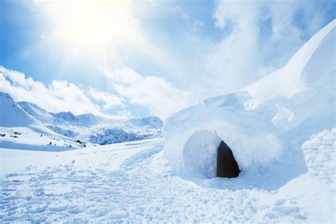 How to Build a Winter Shelter – Mother Earth News