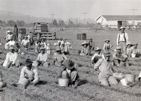 History of American Agriculture: Farm Machinery and Technology