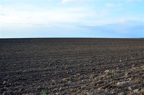 Premium Photo | Empty arable field in sunset with blue sky on horizon ...