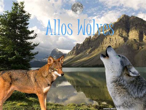 Luna's Allos Wolves - Fan Logo by Aquarose525 on DeviantArt