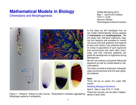 Mathematical Models in Biology: Chemotaxis and Morphogenesis ...