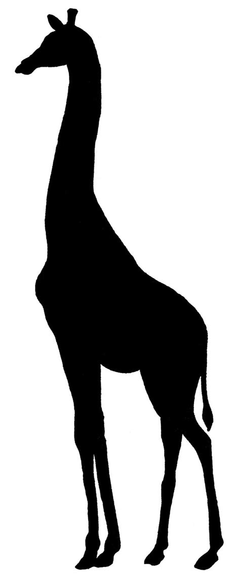 Giraffe Silhouette Clipart - ClipArt Best