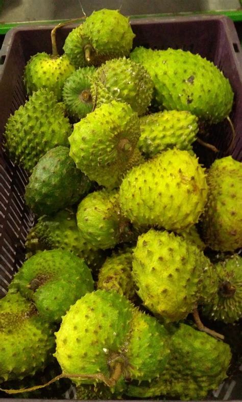 Graviola Fruit at Rs 400/kilogram | Lakshman Phal in Sivakasi | ID ...