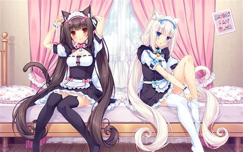 Nekopara Wallpaper 1920X1080 Download hd 1080x2400 wallpapers best ...