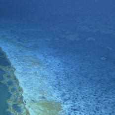 Brine Pool: An Underwater Lake | Nautilus Live