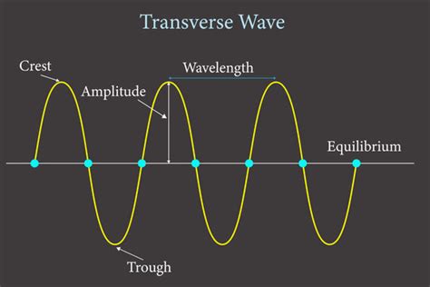 Blank Transverse Wave