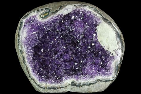 8.9" Purple Amethyst Geode - Uruguay For Sale (#87497) - FossilEra.com