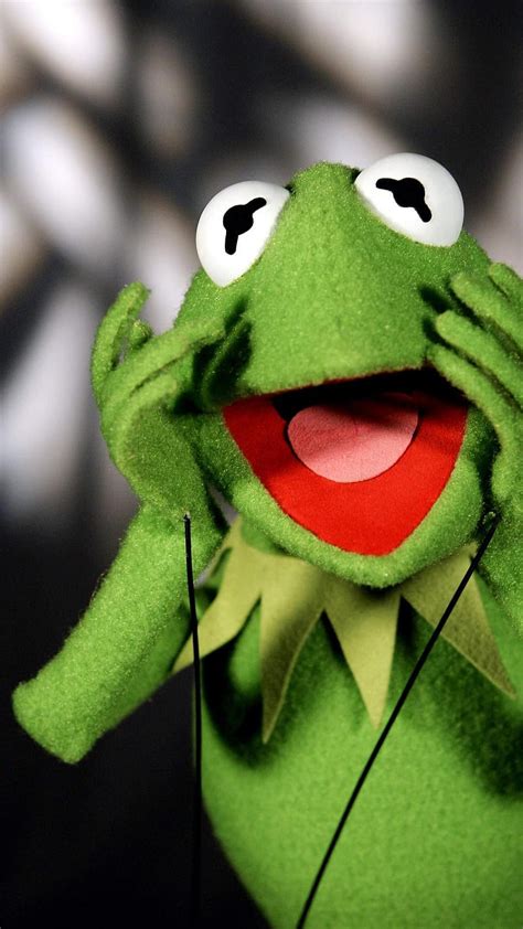 1920x1080px, 1080P free download | Kermit, frog, funny, HD phone ...