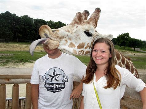 90 Of The Funniest Animal Photobombs Ever | Bored Panda