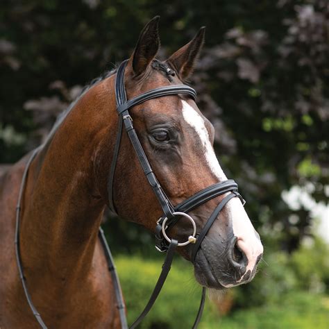 Pinnacle Comfort Plus® Dressage Bridle | Schneiders Saddlery