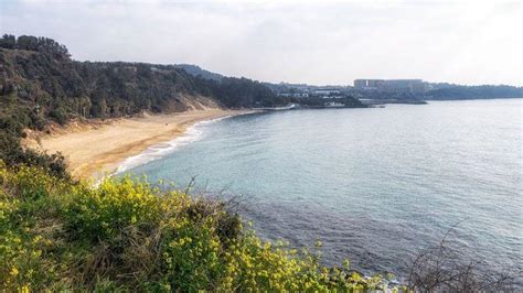 Best Beaches in Jeju Island, South Korea | KoreaTravelPost