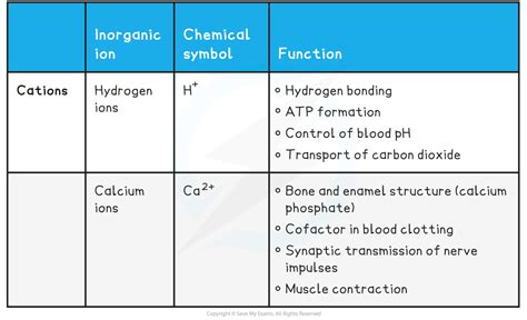 Inorganic Ions (2.2.14) | OCR A Level Biology Revision Notes 2017 ...