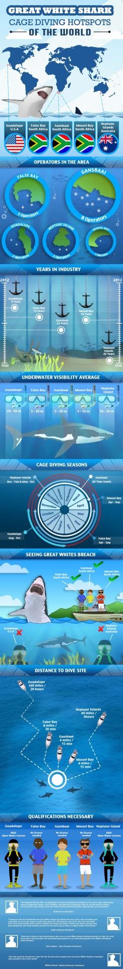 Infographic Journal • Great White Shark Hotspots of the World Full...