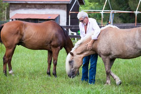 Equine Therapy for Addiction Treatment