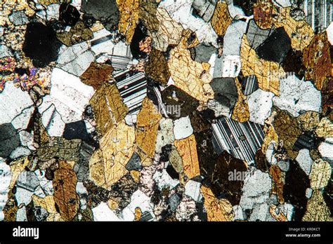 amphibolite rock thin section Stock Photo - Alamy