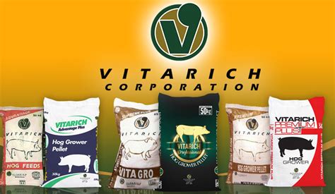 Vitarich Q1 earnings soar as price adjustments and robust sales drive ...