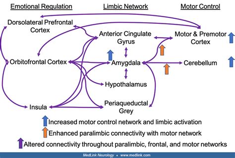 Functional, dissociative, or psychogenic seizures | MedLink Neurology