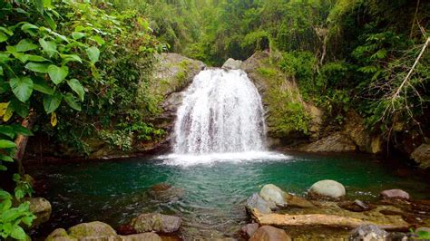 The Blue Mountains in Jamaica | Everything You Need to Know