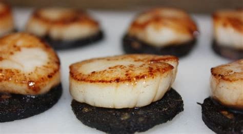 Scallops and black pudding