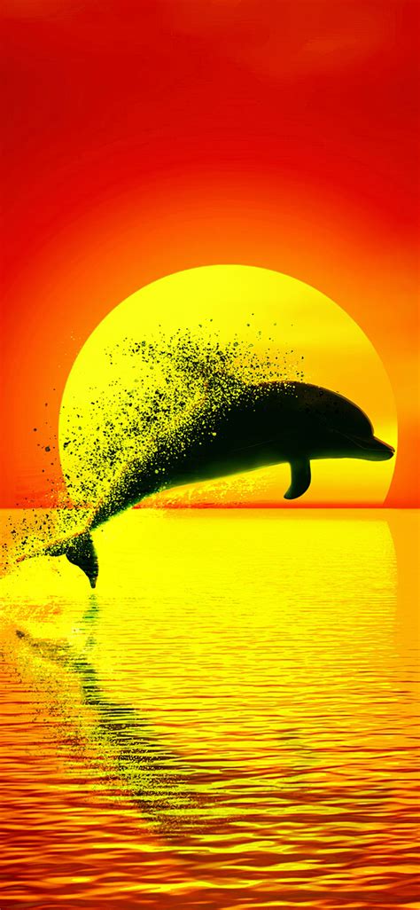 1125x2436 Dolphin Dispersion Sunset 4k Iphone XS,Iphone 10,Iphone X ,HD ...