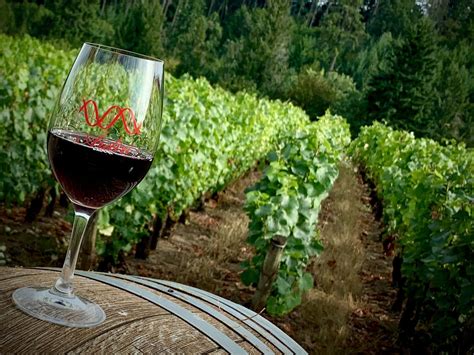 Oregon Wine Tasting Tour - America's Hub World Tours