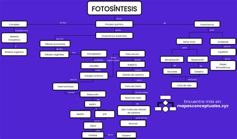 Mapas conceptuales de la Fotosíntesis 【Descargar】