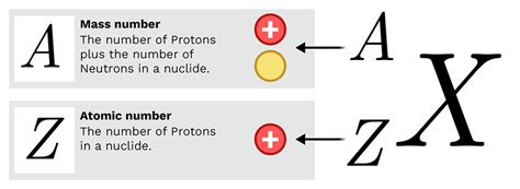 Mass Number and Atomic Number - Labster