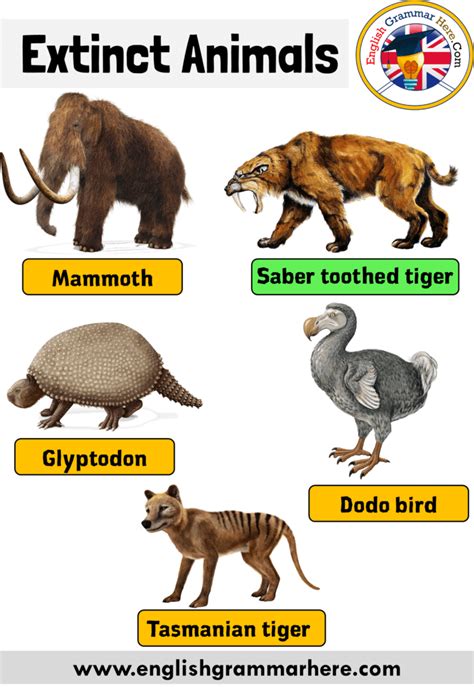 Names of Extinct Animals, Extinct Animals With Names and Pictures Names ...