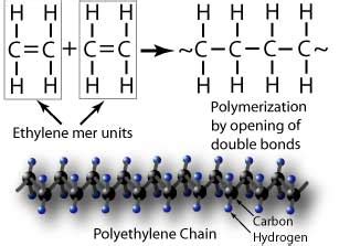 How to Determine Which Polymer Is Used for a Molecule - LaneanceTodd