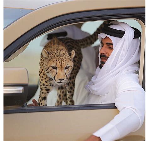 This 31-year-old Qatari prince owns one of the most exclusive supercar ...