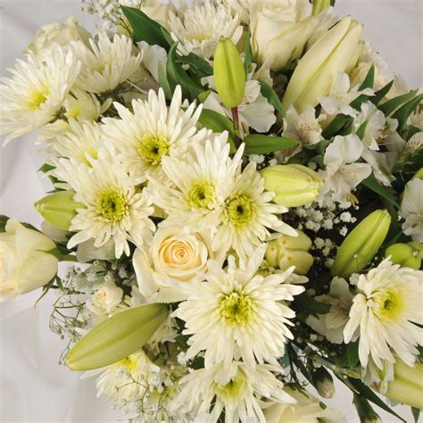 FREE Same Day Flower Delivery Northampton |Homeland Florists