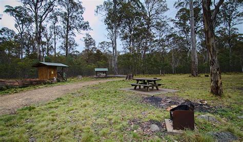 Horse Swamp campground | NSW National Parks