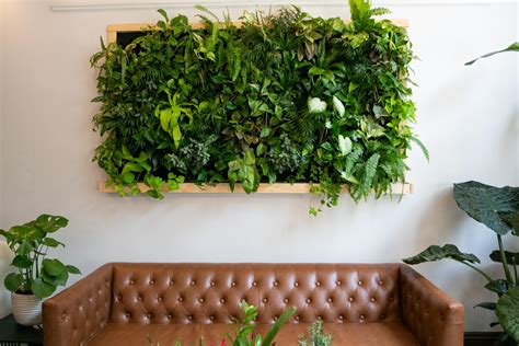 5 Mistakes to Avoid With Indoor Vertical Gardens