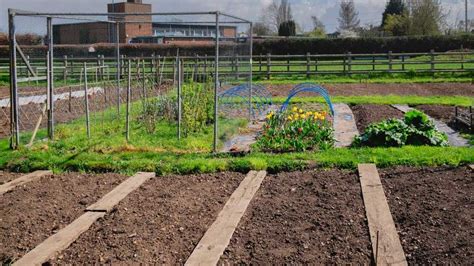 10 Allotment Design Ideas for Beginners | Allotment Planning | WM James ...