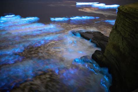 The bioluminescent waves made San Diego look like a scene out of Avatar ...