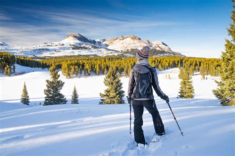 Taking a Break While Snowshoeing Around Andrews Lake. Near Durango ...