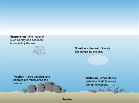 Marine Processes | A Level Geography