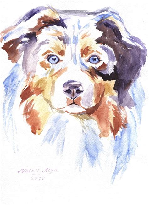 Australian shepherd dog portrait. Original watercolor | Etsy in 2020 ...