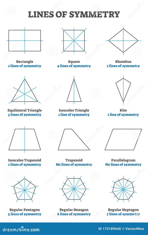 Lines of Symmetry Guide, Vector Illustration Collection Stock Vector ...