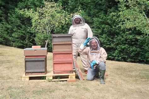 Bees create a buzz at Cranleigh Golf Club - GolfPunkHQ